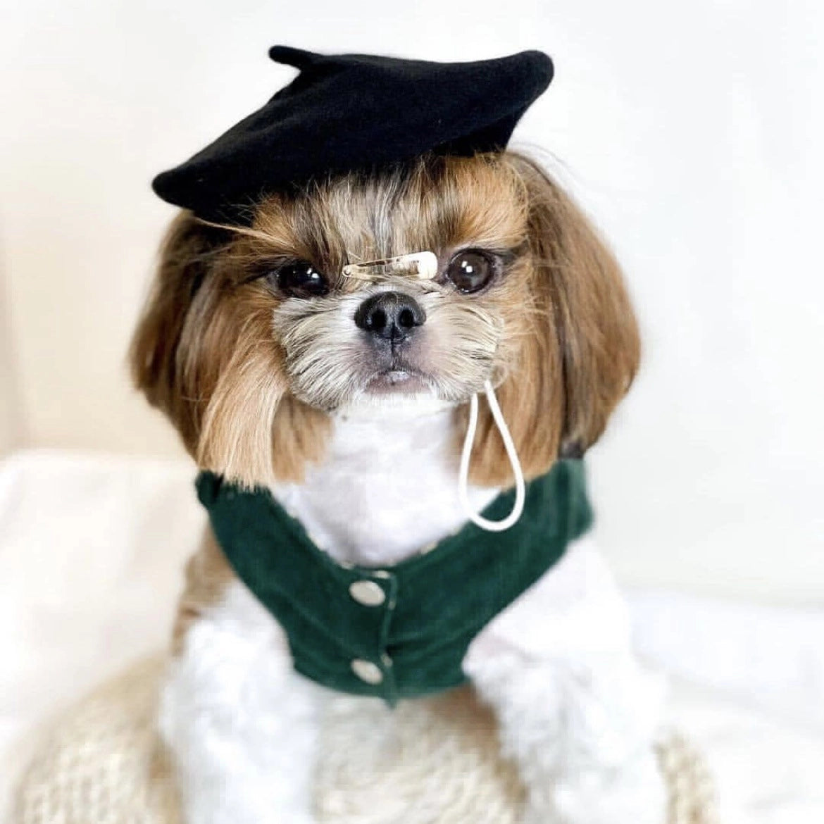 Wool Beret Hat for Dogs